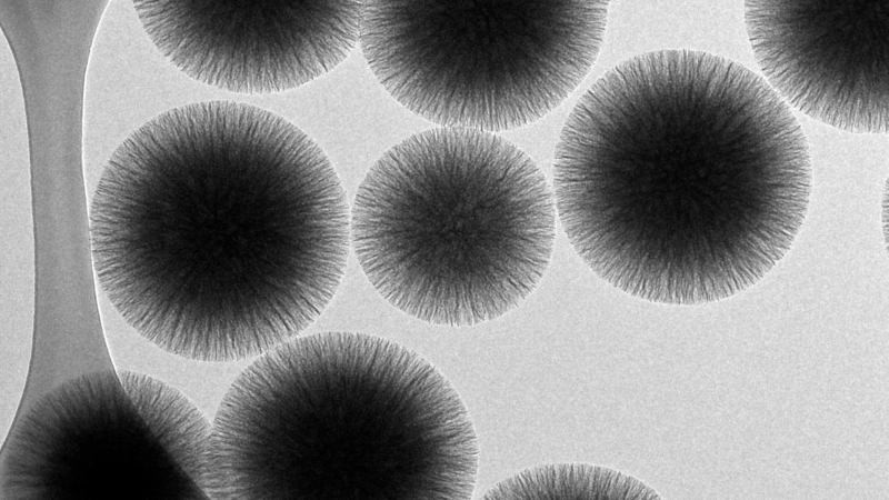 lab pic Imalka Munawera